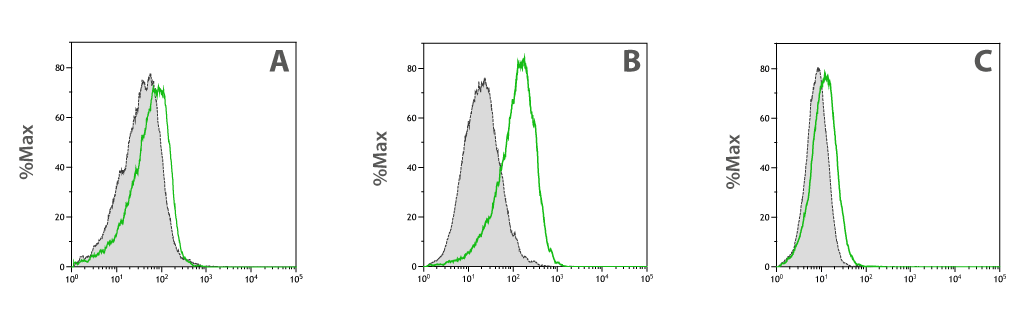 PD-L1 expression in Primary Sample, TP53 Mutant