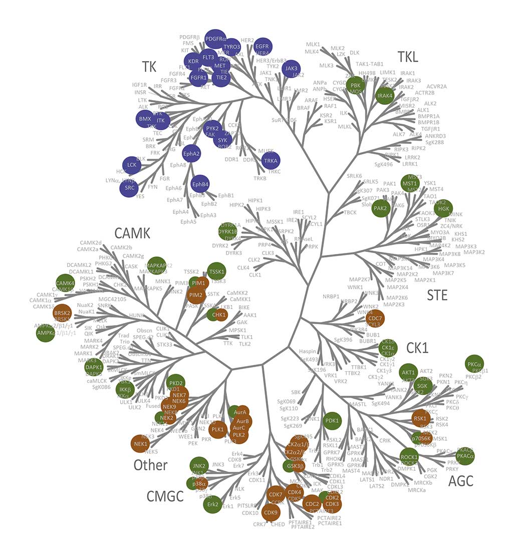 Kinase tree folder 