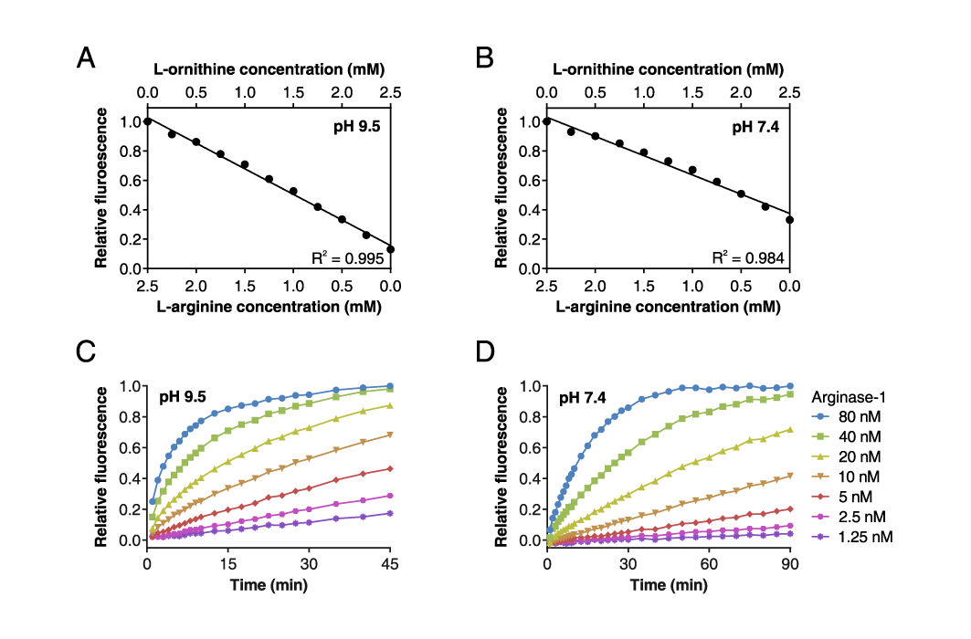 Illustration Of The Development Of A Screening Assay