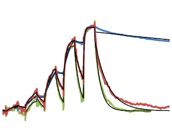 Thermal Stability Assay