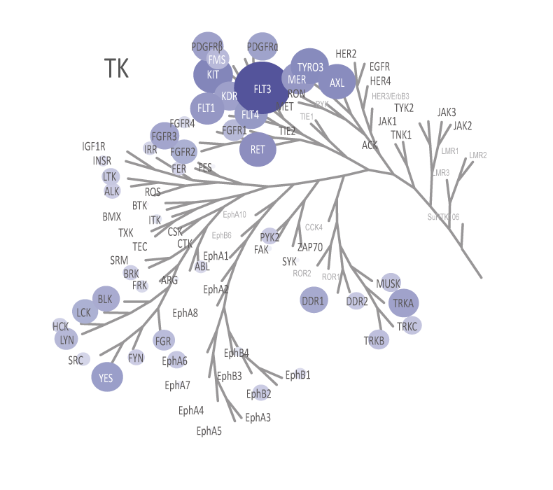 Kinase tree folder 