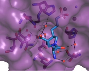 Protein Crystallisation