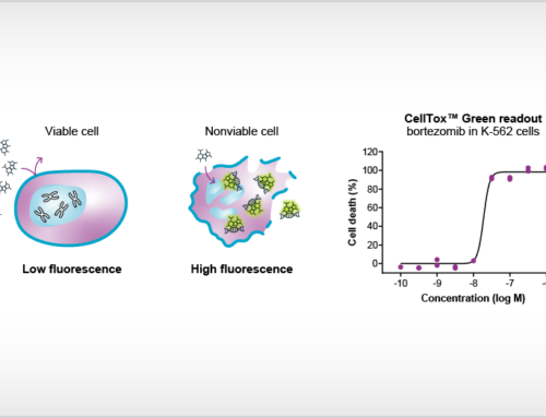 Oncolines offers cell toxicity as an alternative readout for 102 cancer cell panel profiling studies