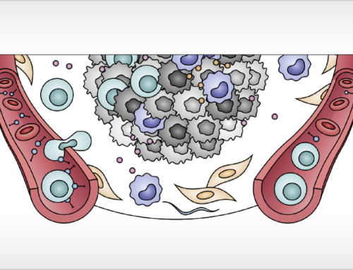 New insights into the targeting of amino acid-metabolizing enzymes for cancer immunotherapy